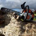 Tronçonneuse STIHL MS 162