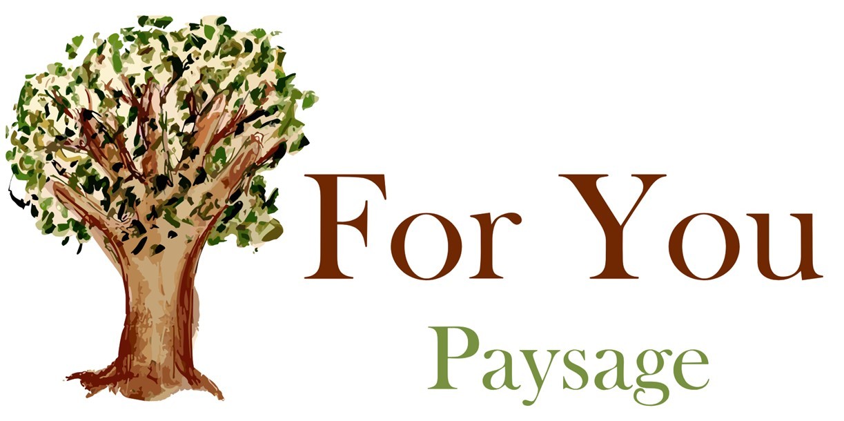 For You Paysage